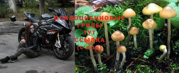 наркотики Гусь-Хрустальный