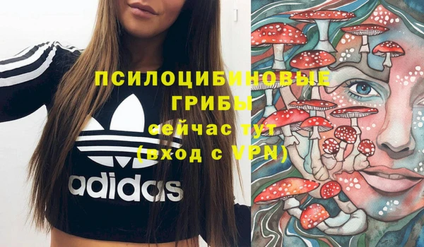 наркотики Гусь-Хрустальный