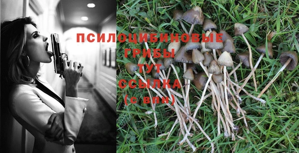 наркотики Гусь-Хрустальный